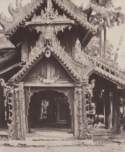  द्वारा लिनिअस ट्राइप