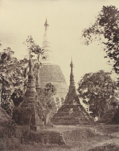  द्वारा लिनिअस ट्राइप