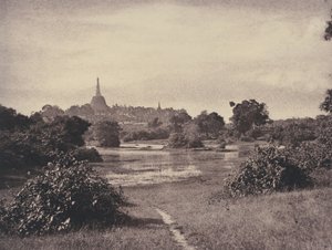 द्वारा लिनिअस ट्राइप