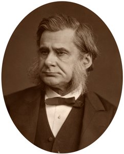 प्रोफेसर थॉमस हेनरी हक्सले, 1880। द्वारा लॉक और व्हिटफील्ड