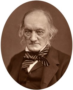 रिचर्ड ओवेन, 1878। द्वारा लॉक और व्हिटफील्ड