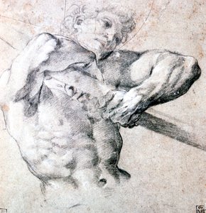 एक चित्र का अध्ययन, c1575-1619 द्वारा Lodovico Carracci