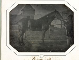 क्लीवलैंड, सी। 1842-1843। द्वारा लुई अगस्टे बिसन