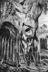मैंने पलिसदे की दस पंक्तियाँ लगाईं। 1837 के फ्रांसीसी संस्करण "रॉबिन्सन क्रूसो" "रॉबिन्सन क्रूसो" की पुस्तक के लिए एम। डी सेन्सन की ड्राइंग के बाद उत्कीर्णन।