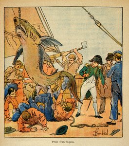 काउंट इमैनुएल डी लास केसेस (1766-1842) द्वारा "द मेमोरियल ऑफ सेंट हेलेन" पुस्तक से बॉम्बल्ड लुइस (1862-1927) का चित्रण: सम्राट नेपोलियन नॉर्थम्बरलैंड, निजी संग्रह पर एक शार्क को पकड़ने में भाग लेता है द्वारा लुई चार्ल्स ने बमबारी की