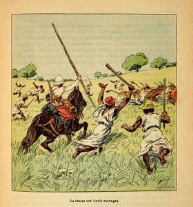 मेडागास्कर में युद्ध- 1885-1895 के फ्रांसीसी अभियानों का उपाख्यानात्मक इतिहास हेनरी गैली डिट गैलिचेट (1854-1922) द्वारा, लुई बॉम्बल्ड द्वारा सचित्र (1862-1927): 1895 में मेडागास्कर में जंगली बैलों का शिकार, निजी संग्रह द्वारा लुई चार्ल्स ने बमबारी की