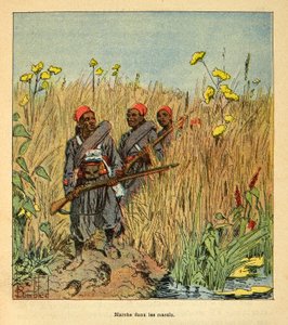 1885-1895 के फ्रांसीसी अभियानों के मेडागास्कर-उपाख्यानात्मक इतिहास में युद्ध हेनरी गैली डिट गैलिचेट (1854-1922) द्वारा, लुई बॉम्बल्ड (1862-1927) द्वारा सचित्र: 1895 में मेडागास्कर में दलदल में अभियान पर फ्रांसीसी सैनिक, निजी संग्रह द्वारा लुई चार्ल्स ने बमबारी की