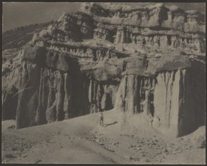  द्वारा लुइस फ्लेकेंस्टीन