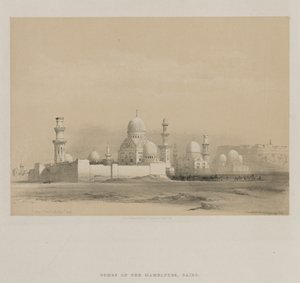 मिस्र और नूबिया, वॉल्यूम III: टॉम्ब्स ऑफ द मेम्पेन्स, काहिरा, 1849। द्वारा लुई हागे