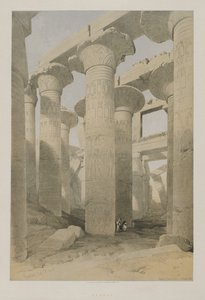  द्वारा डेविड रॉबर्ट्स के बाद