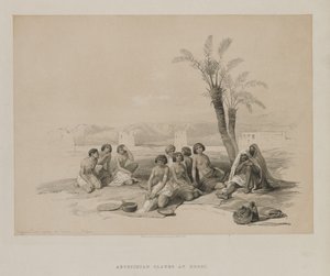  द्वारा डेविड रॉबर्ट्स के बाद