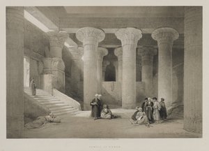  द्वारा डेविड रॉबर्ट्स के बाद