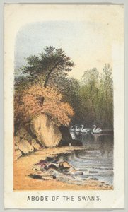 हंसों का निवास, श्रृंखला से, सेंट्रल पार्क में दृश्य, न्यूयॉर्क, भाग 2, 1864। द्वारा लुइस प्रांग
