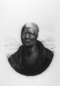 कमेहमे I, हवाई, 1816