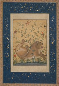 लायन एट रेस्ट, सीए। 1585. द्वारा मंसूर