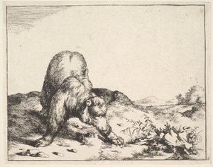 भालू के सेट से, ca. 1664. द्वारा मार्कस डी बाय