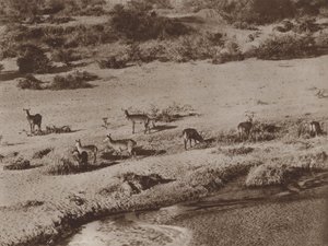 पानी का छेद