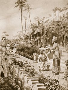  द्वारा मार्गरेट डोवस्टन