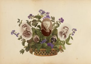 मैडम बी एल्बम, 1870 का दशक।