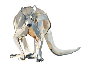 बॉक्सर (रेड कंगारू), 2012, (पानी के रंग और कागज पर वर्णक) द्वारा मार्क एडलिंगटन