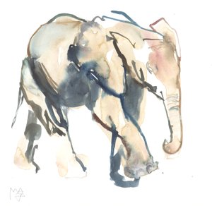 हाथी बछड़ा, लोइसाबा, 2017 (कागज पर पानी के रंग का) द्वारा मार्क एडलिंगटन