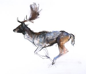 ईवनिंग बक (परती हिरण), 2007, (पेस्टल एंड कॉन ऑन पेपर) द्वारा मार्क एडलिंगटन