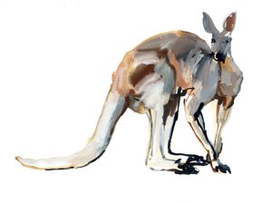 Roo, (रेड कंगारू), 2012, (पानी के रंग और कागज पर वर्णक)