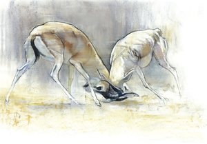 सैंड गज़ेल्स, 2009 (कागज पर कॉन्टे और चारकोल) द्वारा मार्क एडलिंगटन