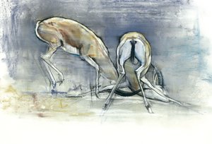 सैंड गज़ेल्स, 2009 (कॉन और पेपर पर चारकोल) द्वारा मार्क एडलिंगटन