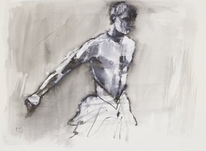 स्वान लेक, 2001 (कागज पर मिश्रित मीडिया) द्वारा मार्क एडलिंगटन