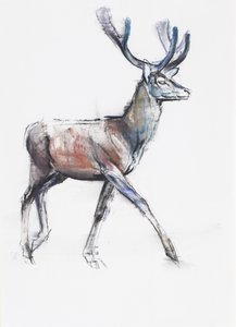 वेल्वेट, 2006 (कागज पर चारकोल पूर्ववत द्वारा मार्क एडलिंगटन