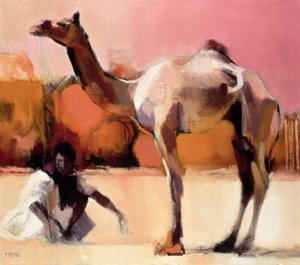 dsu और ने कहा, कच्छ का रण, 1996