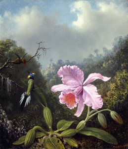 स्टिल लाइफ विद ऑर्किड एंड पेयर ऑफ हमिंगबर्ड्स, c.1890s