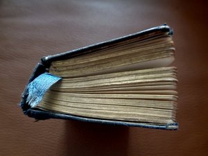  द्वारा मार्टिना कोनिट्ज़की