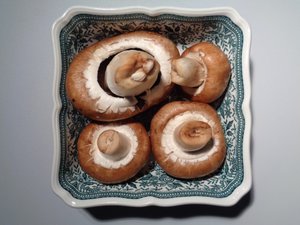  द्वारा मार्टिना कोनिट्ज़की