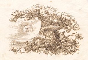 हे द्वारा quot;बच्चों के लिए आधा सौ दंतकथाएँquot; के लिए चित्रण द्वारा मार्टिन रोरबी