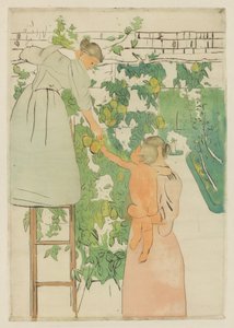 फल इकट्ठा करना, सी। 1893. द्वारा मैरी कसाट