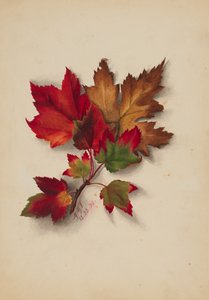शीर्षकहीन शरद पत्तियां, 1874।