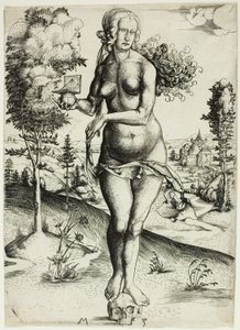  द्वारा मास्टर MZ