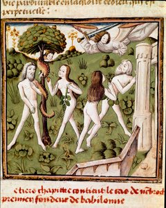 आदम और हव्वा Giovanni Boccaccio (जीन Boccaccio) (1313-1375) की पांडुलिपि "" डेस होम्स इलस्ट्रेस "" से महिलाओं के चैंपियन के मास्टर (15 वीं शताब्दी) के बचाव वाले फल को उठाते हुए। 15th शताब्दी। बढ़ई। इंगुइम्बरटाइन लाइब्रेरी द्वारा चैंपियन देस डेम्स के मास्टर