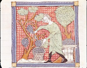 Fol.59r सितंबर: द हार्वेस्ट