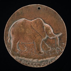 एक घास के मैदान में मालटेस्टा हाथी [रिवर्स], 1446। द्वारा मत्तेओ दी एंड्रिया डे पास्टी
