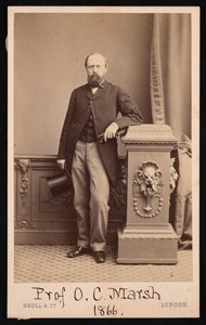 ओथनील चार्ल्स मार्श का पोर्ट्रेट 1831-1879, 1866।