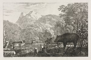 जंगली सूअर, वाइल्डकैट और लिंक्स, 1807। द्वारा मैक्सिमिलियन जोसेफ वेजेनबॉयर