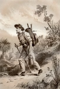 ट्रम्प पर डिगर, ऑस्ट्रेलिया, 1879। द्वारा McFarlane और Erskine