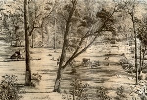फ्री सेलेक्टर्स हट, ऑस्ट्रेलिया, 1879 द्वारा McFarlane और Erskine