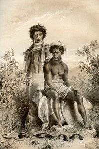 माओरिस और कालीन सांप, न्यूजीलैंड, 1879 द्वारा McFarlane और Erskine