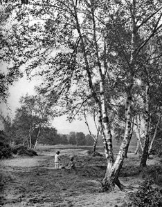 पुटनी हीथ, लंदन, 1926-1927 द्वारा McLeish