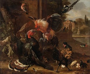 मुर्गा और टर्की की लड़ाई द्वारा Melchior de Hondecoeter