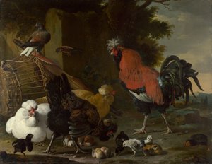 "" एक मुर्गा, मुर्गियाँ और चूजे "" (एक मुर्गा, मुर्गियाँ और चूजे) Melchior de Hondecoeter (1636-1695) द्वारा पेंटिंग कैनवास पर तेल सीए 1668-1670 मंद 85.5x110 सेमी नेशनल गैलरी, लंदन द्वारा मेल्चिओर डी होंडेकोटर
